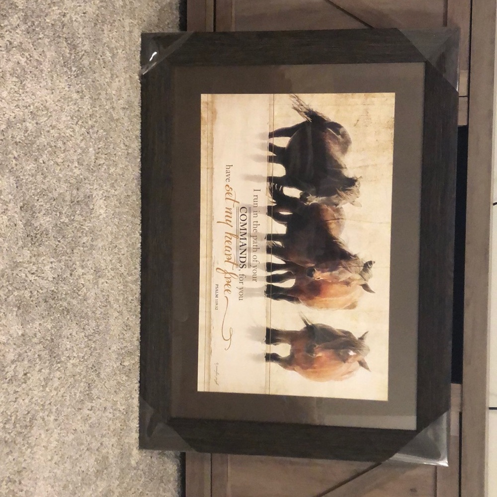 Horse picture with bible verse!